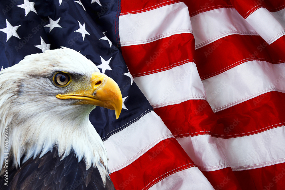 Bald eagle with an American flag