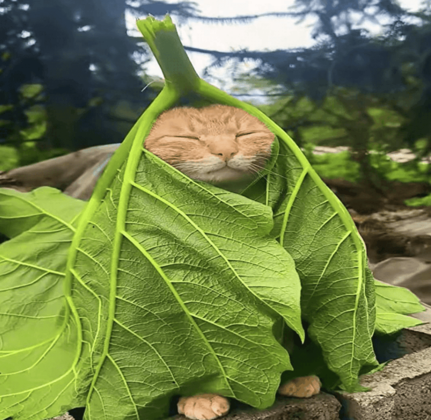 Cat wrapped in green leaves